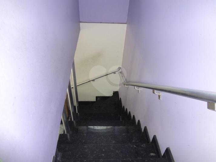 Foto REO172778