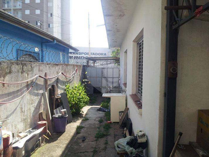 Foto REO172882