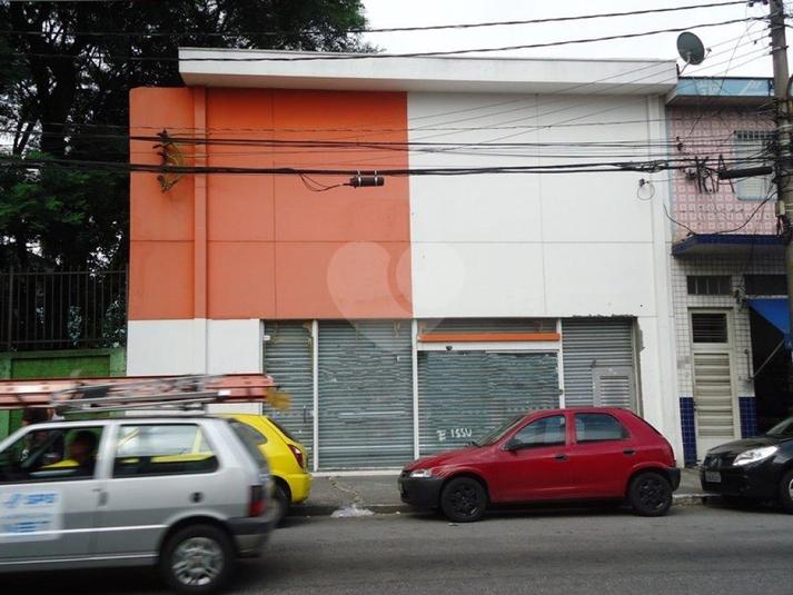 Foto REO173084