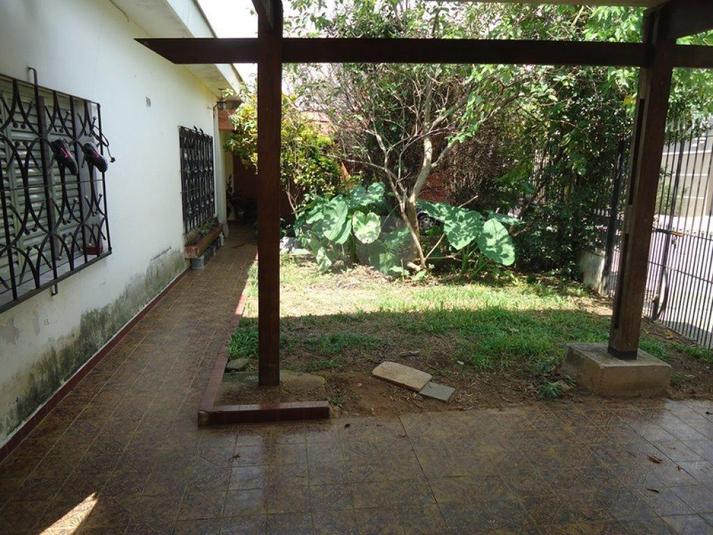 Foto REO173085