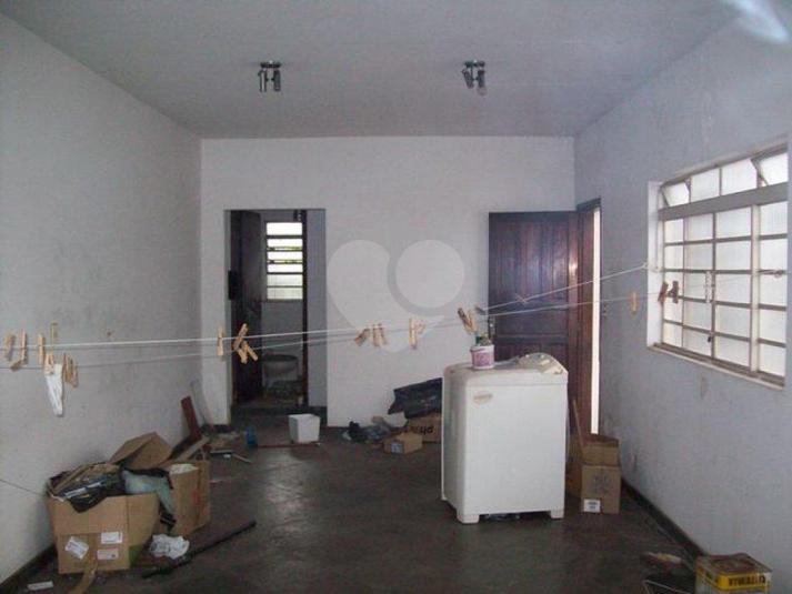 Foto REO173137