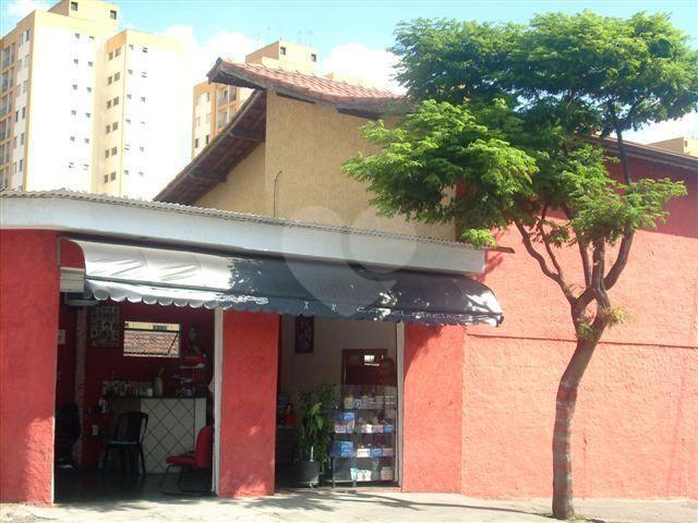 Foto REO173154