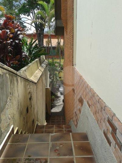 Foto REO173234