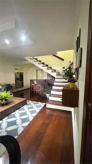 Foto REO173276