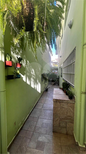 Foto REO173276