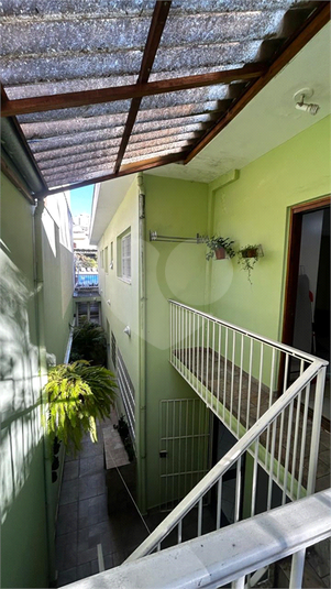 Foto REO173276