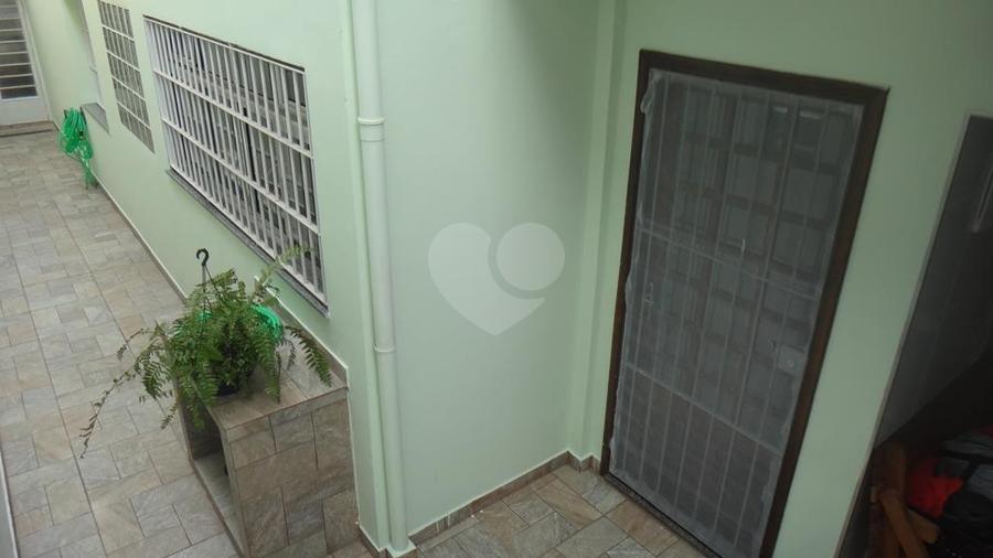 Foto REO173276