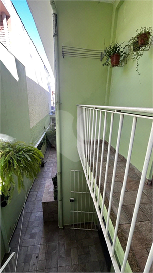 Foto REO173276