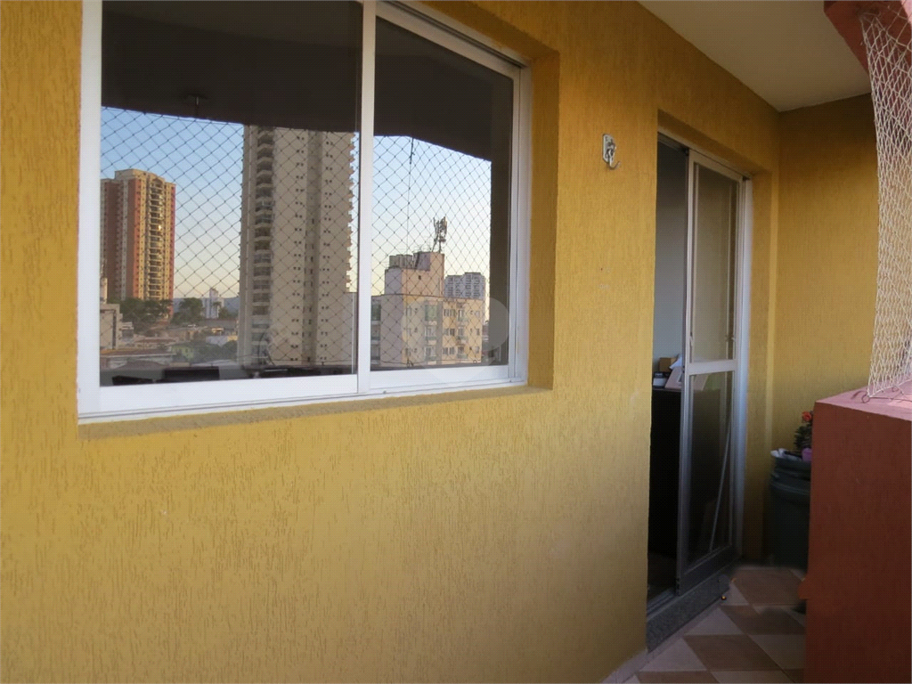Foto REO173581