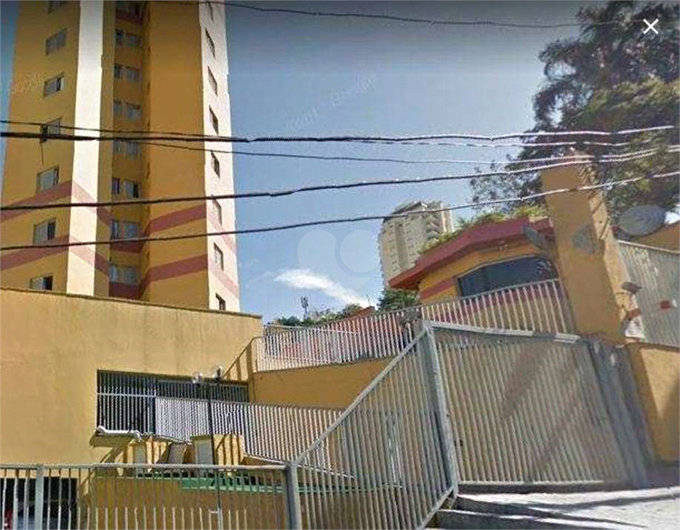 Foto REO173581