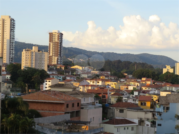Foto REO173581