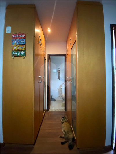 Foto REO173665