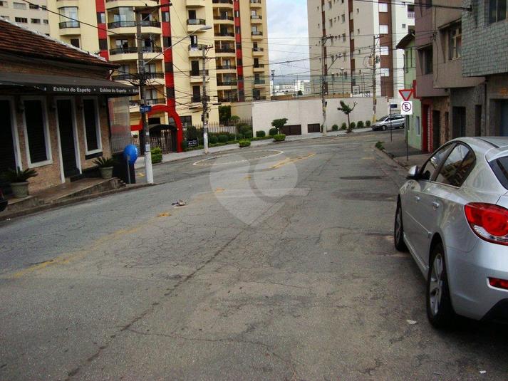 Foto REO173683