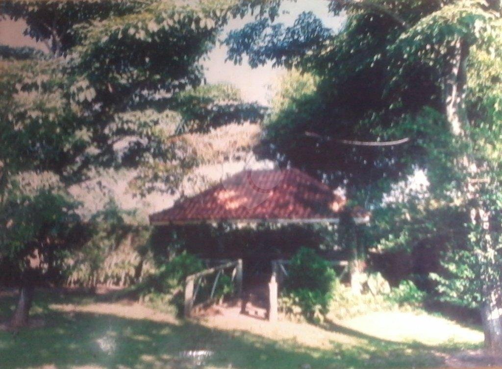 Venda Sobrado São Pedro Centro REO173749 21