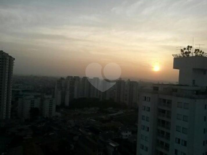 Foto REO173818