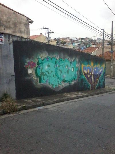 Foto REO173974