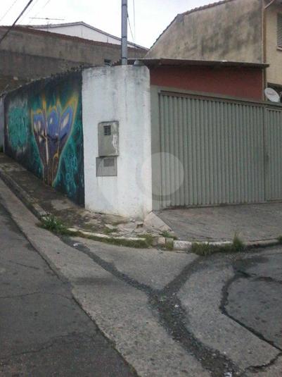 Foto REO173974