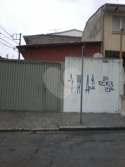 Foto REO173974