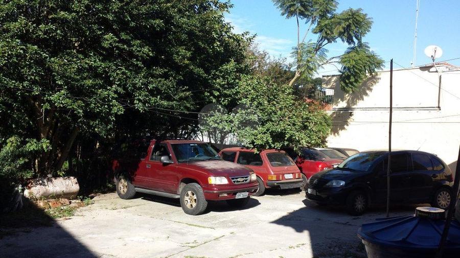 Foto REO173992