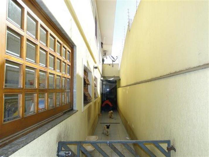 Foto REO174143