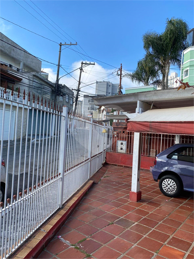 Foto REO174261