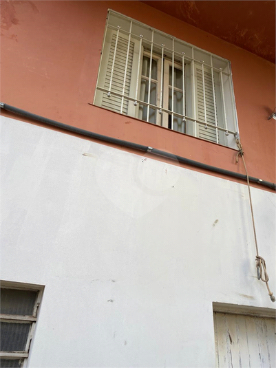 Foto REO174261