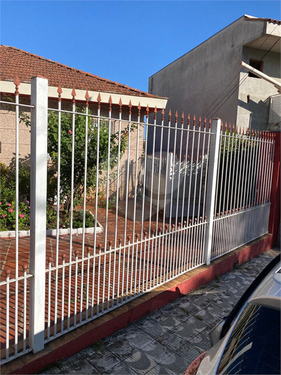Foto REO174261