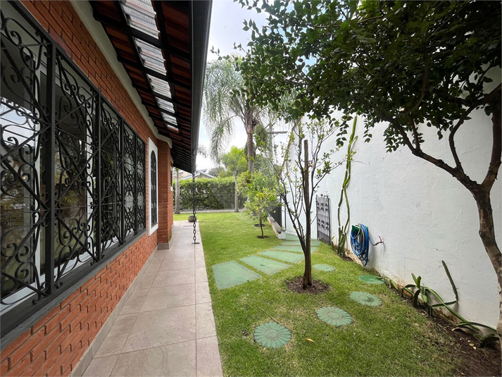 Foto REO174284