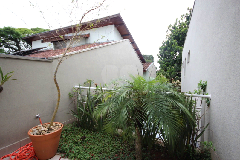 Foto REO17429