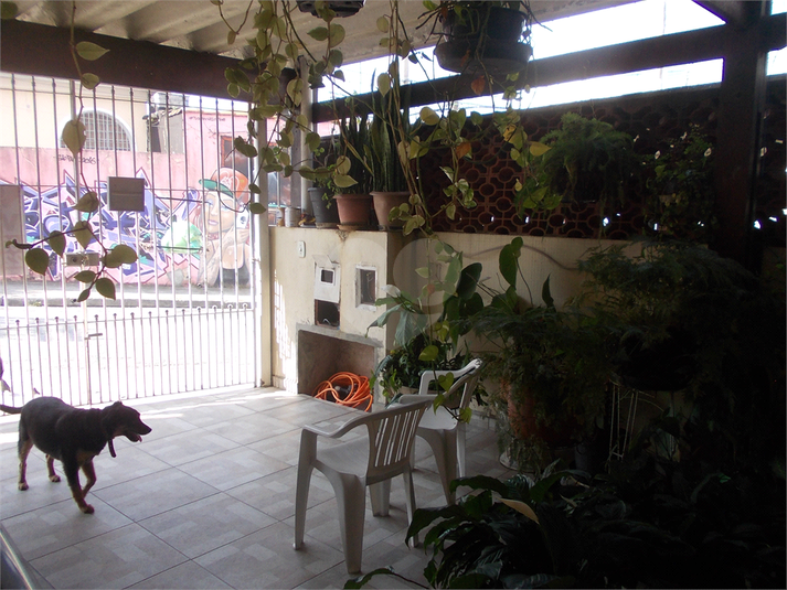 Foto REO174379