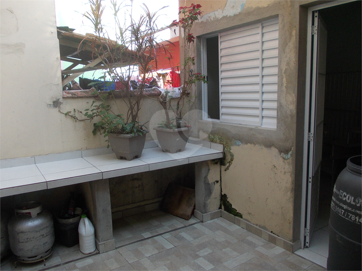Foto REO174379