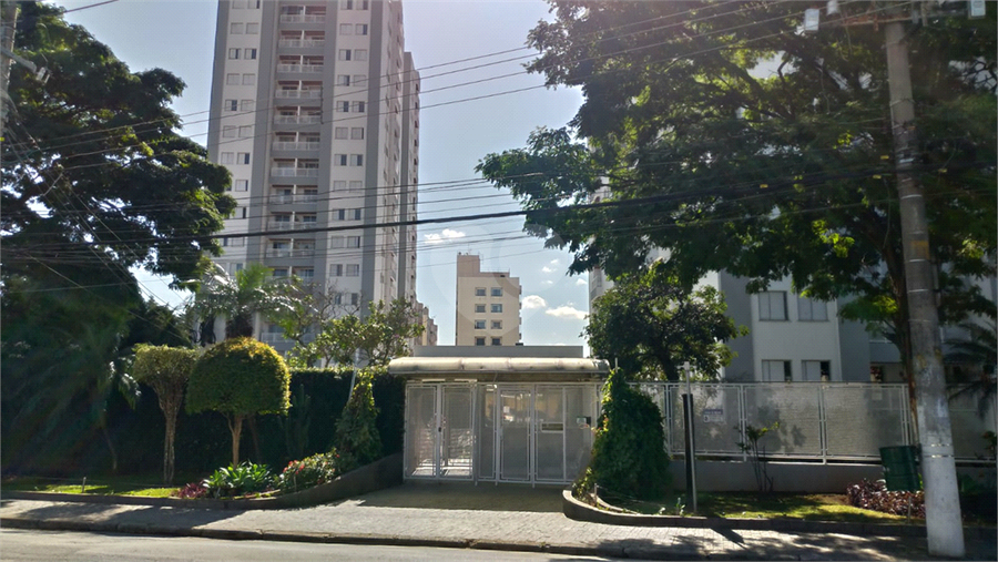 Foto REO174485