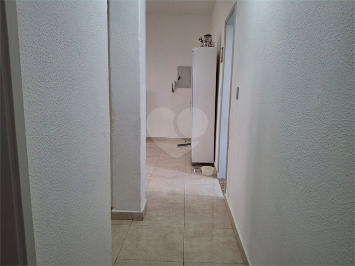 Foto REO174614