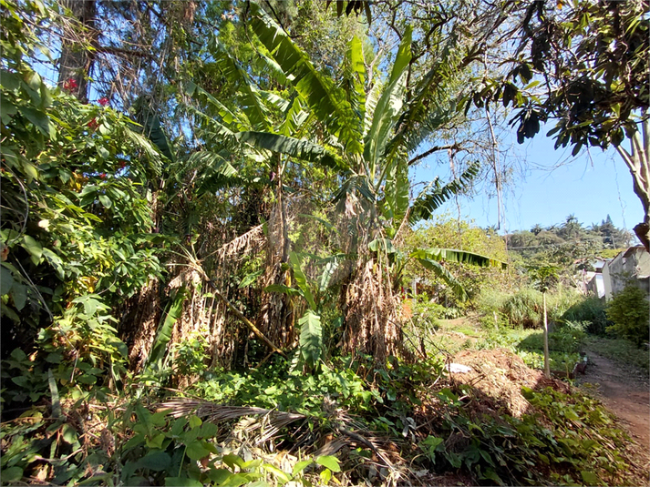 Foto REO174941