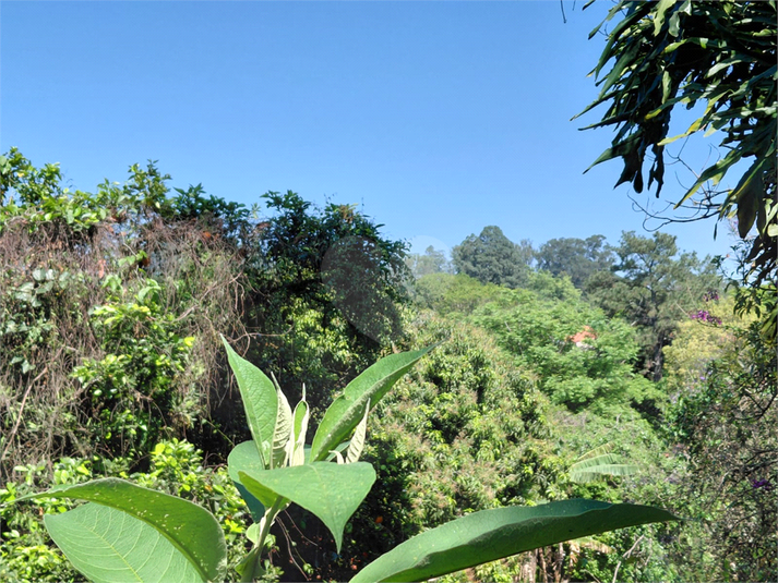 Foto REO174941