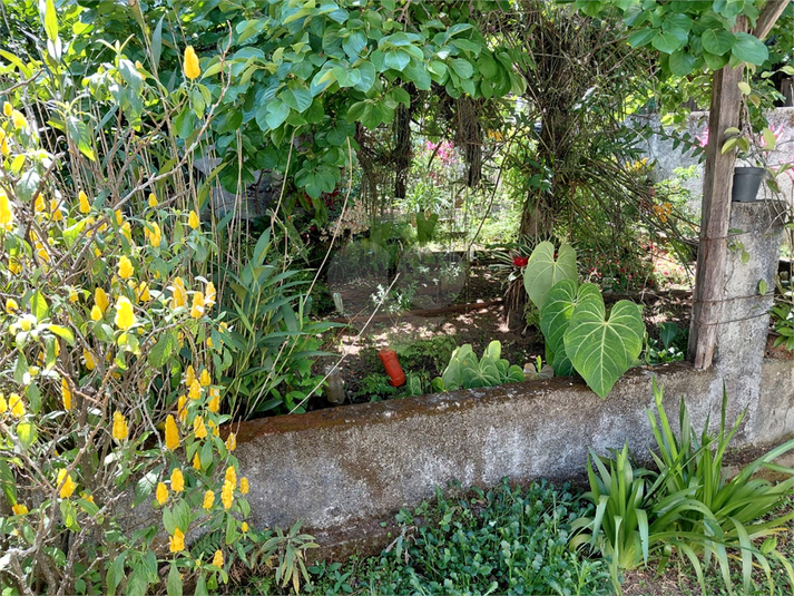 Foto REO174941