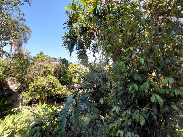 Foto REO174941