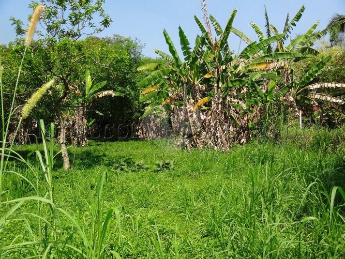 Venda Terreno São Paulo Horto Florestal REO174941 4