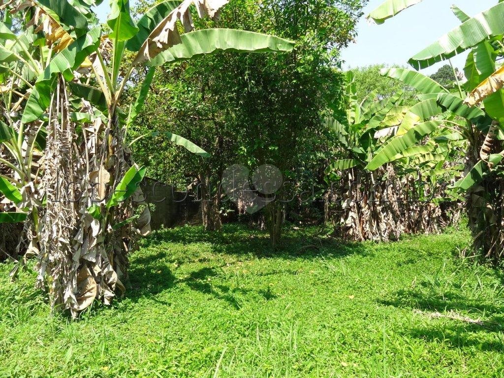 Venda Terreno São Paulo Horto Florestal REO174941 12