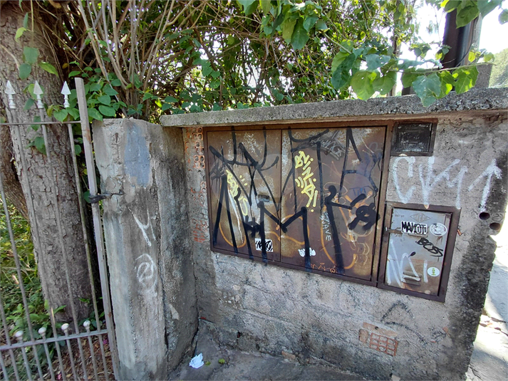 Foto REO174941