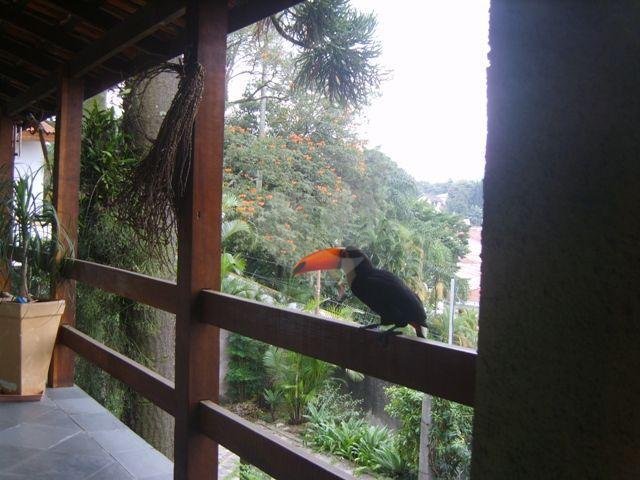 Venda Casa térrea São Paulo Vila Albertina REO175063 1