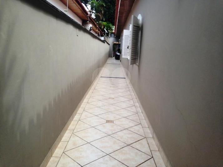 Foto REO175316