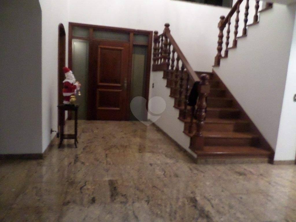 Foto REO175463