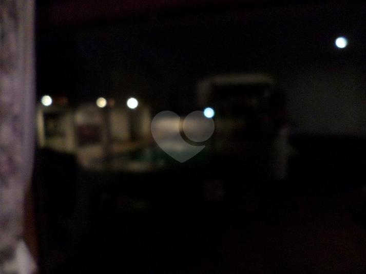 Foto REO175463