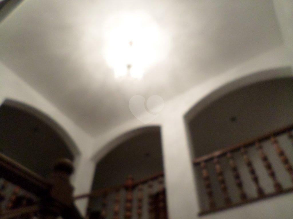 Foto REO175463