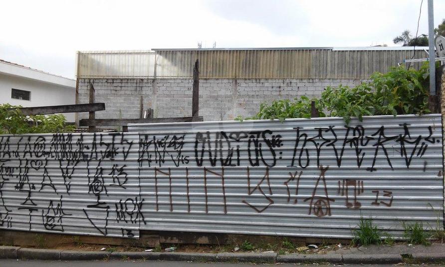 Foto REO175615