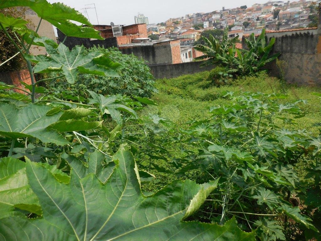 Venda Terreno São Paulo Vila Maria Alta REO175744 4