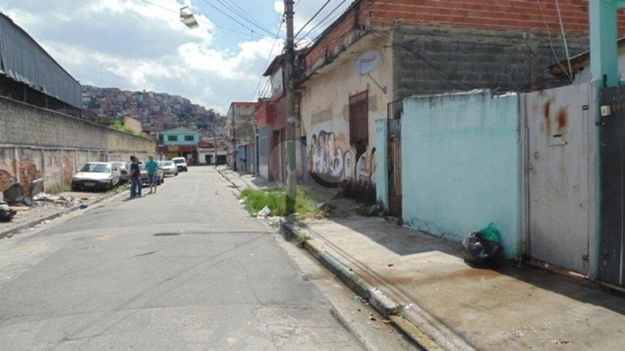 Foto REO175749