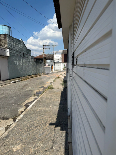 Foto REO176203