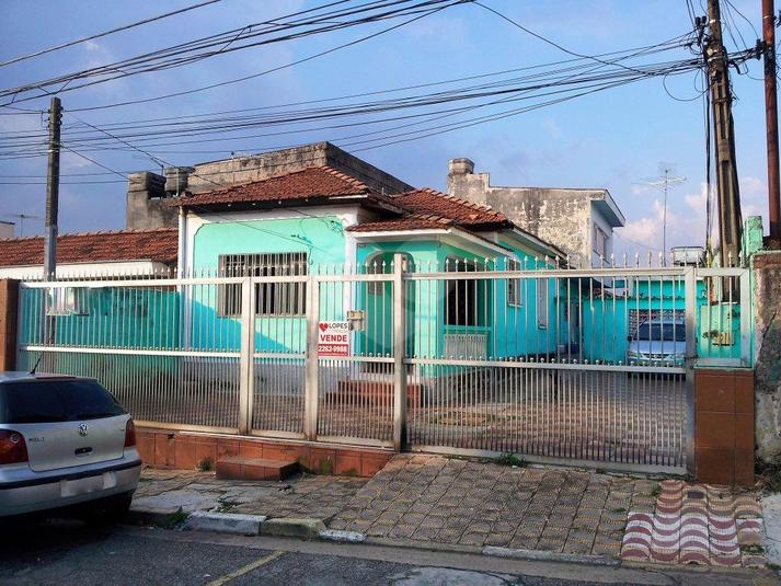 Foto REO176208